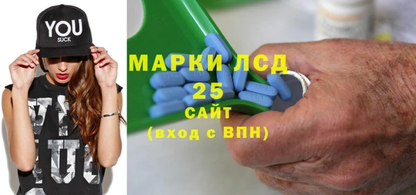 индика Переславль-Залесский