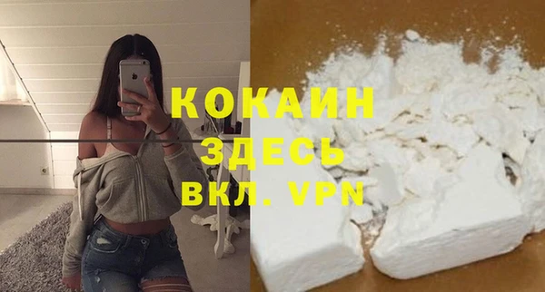 ГАЛЛЮЦИНОГЕННЫЕ ГРИБЫ Пестово