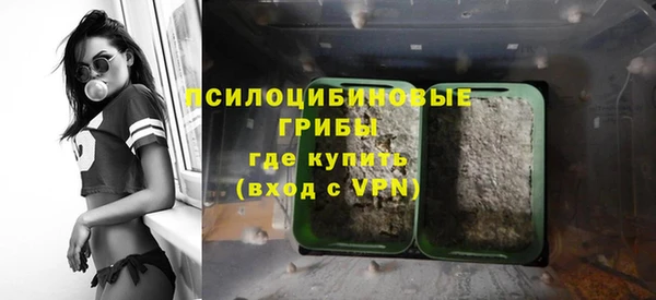 индика Переславль-Залесский