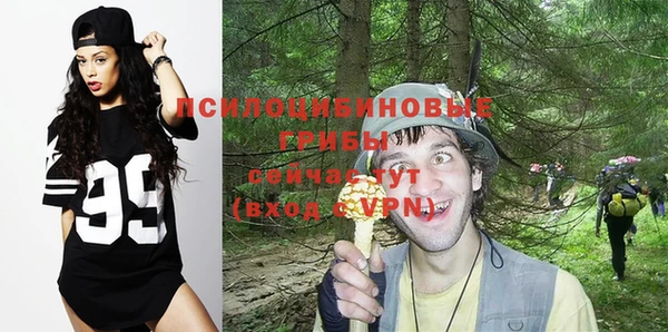 скорость Пересвет