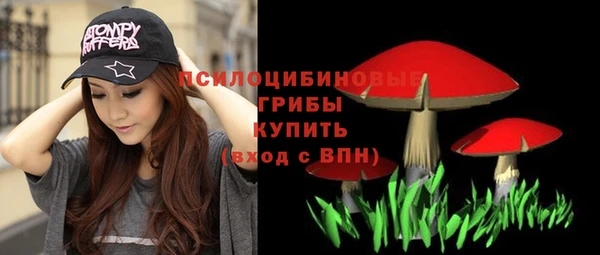 индика Переславль-Залесский