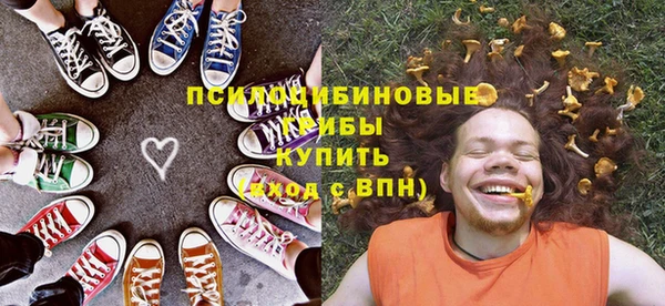 ГАЛЛЮЦИНОГЕННЫЕ ГРИБЫ Пестово