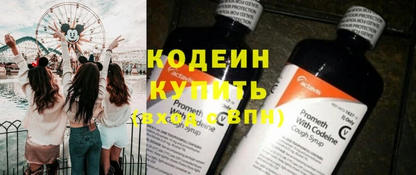 индика Переславль-Залесский