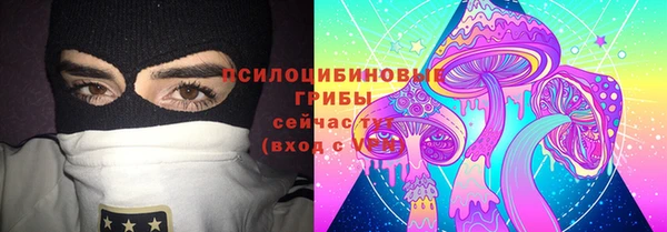 ГАЛЛЮЦИНОГЕННЫЕ ГРИБЫ Пестово