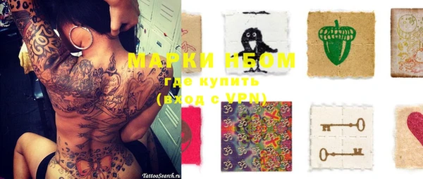 ГАЛЛЮЦИНОГЕННЫЕ ГРИБЫ Пестово