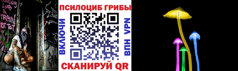 blacksprut как войти  продажа наркотиков  Холм  Псилоцибиновые грибы Psilocybe 